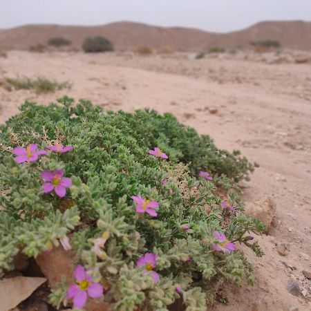 Desert Path Be'er Ora Zewnętrze zdjęcie