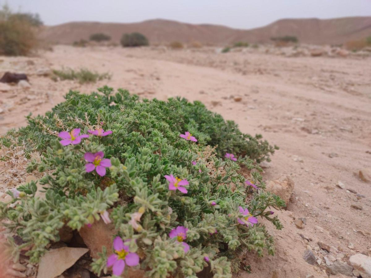 Desert Path Be'er Ora Zewnętrze zdjęcie