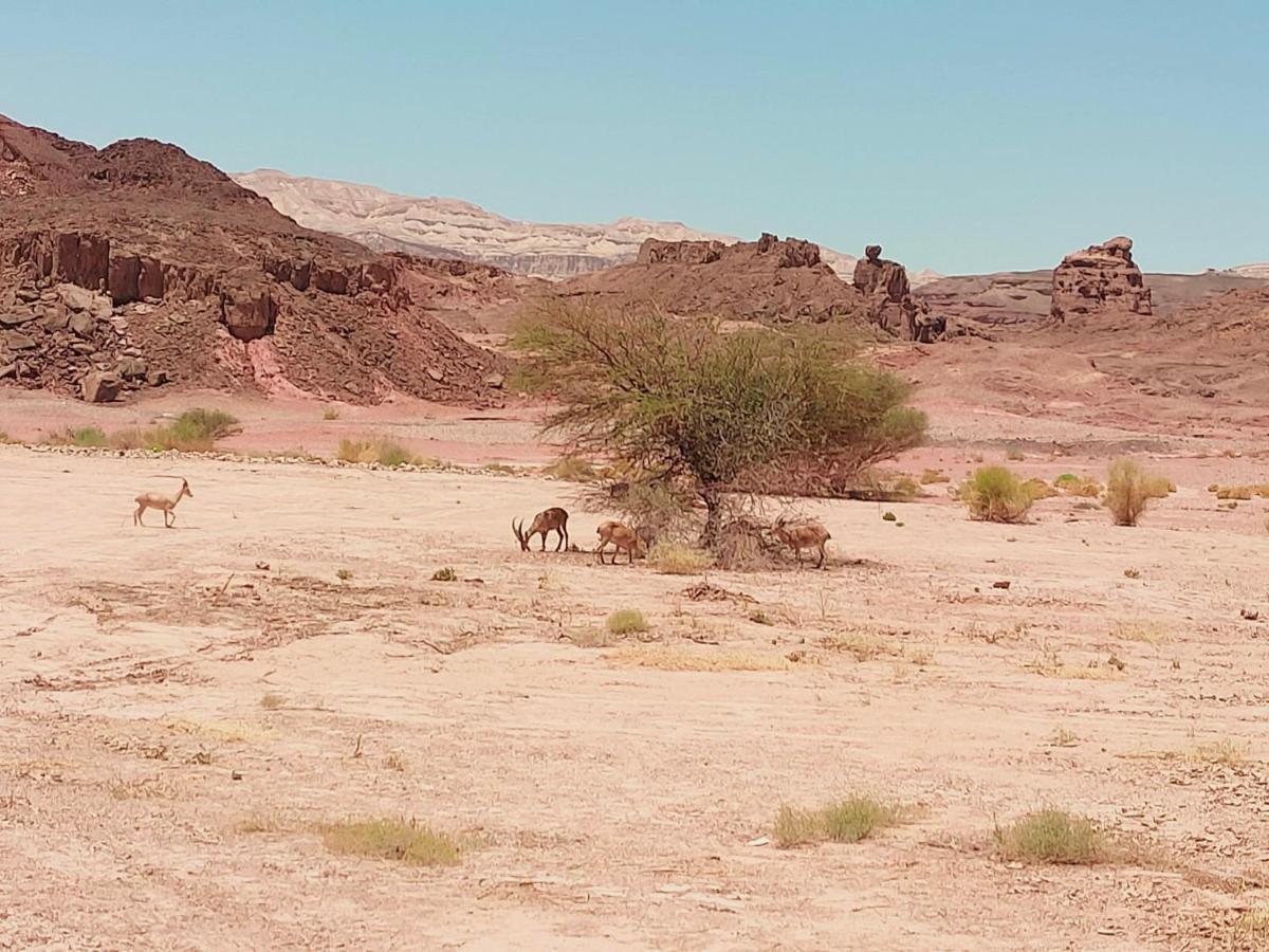 Desert Path Be'er Ora Zewnętrze zdjęcie